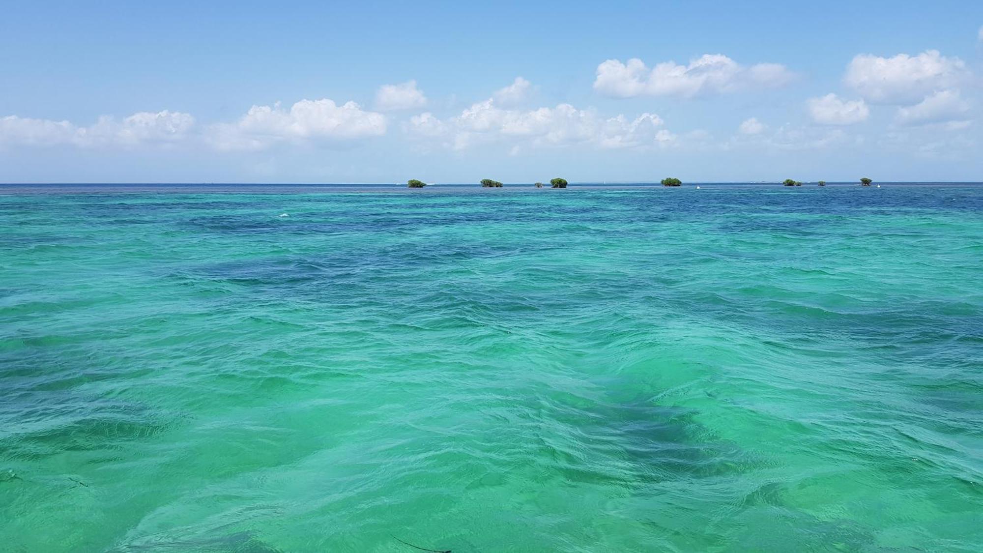 Ti Kaz Location Vue Mer ซานต์-โรส ภายนอก รูปภาพ